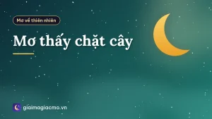 Mơ thấy chặt cây