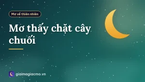 Mơ thấy chặt cây chuối