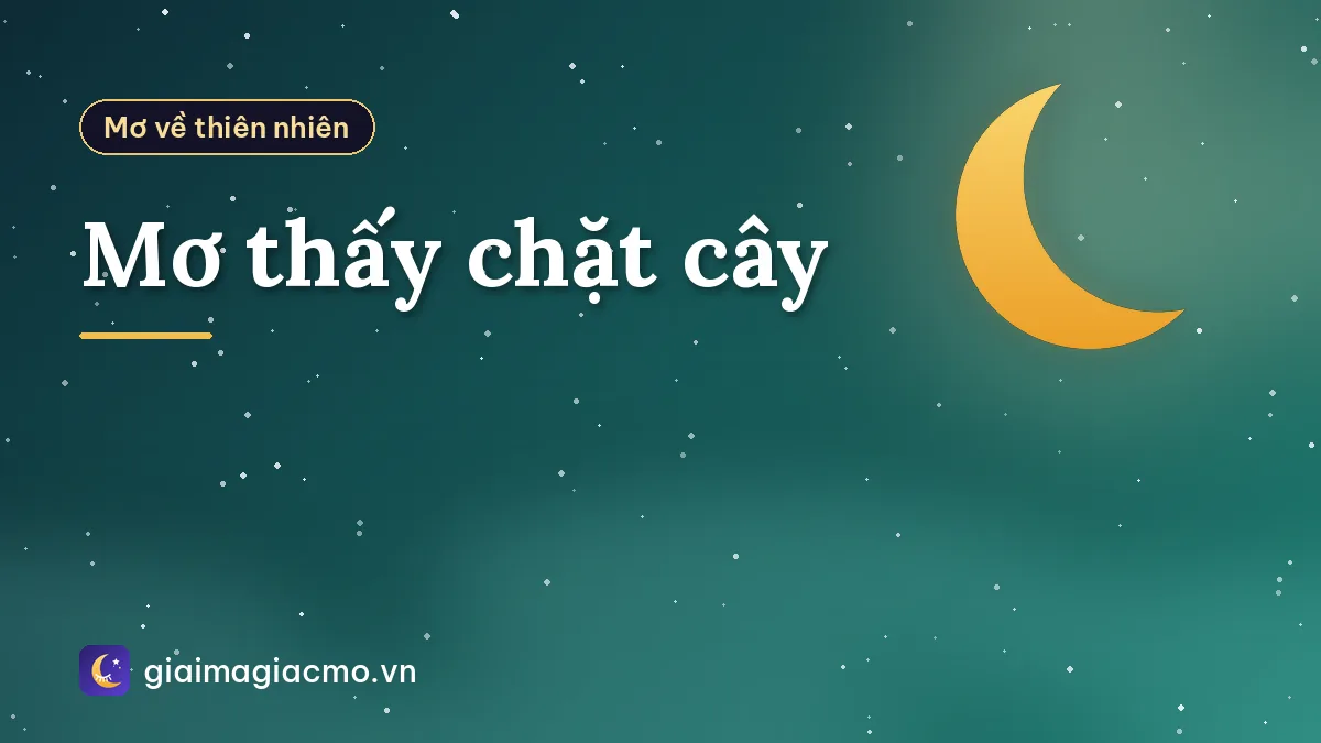Mơ thấy chặt cây