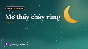 Mơ thấy cháy rừng