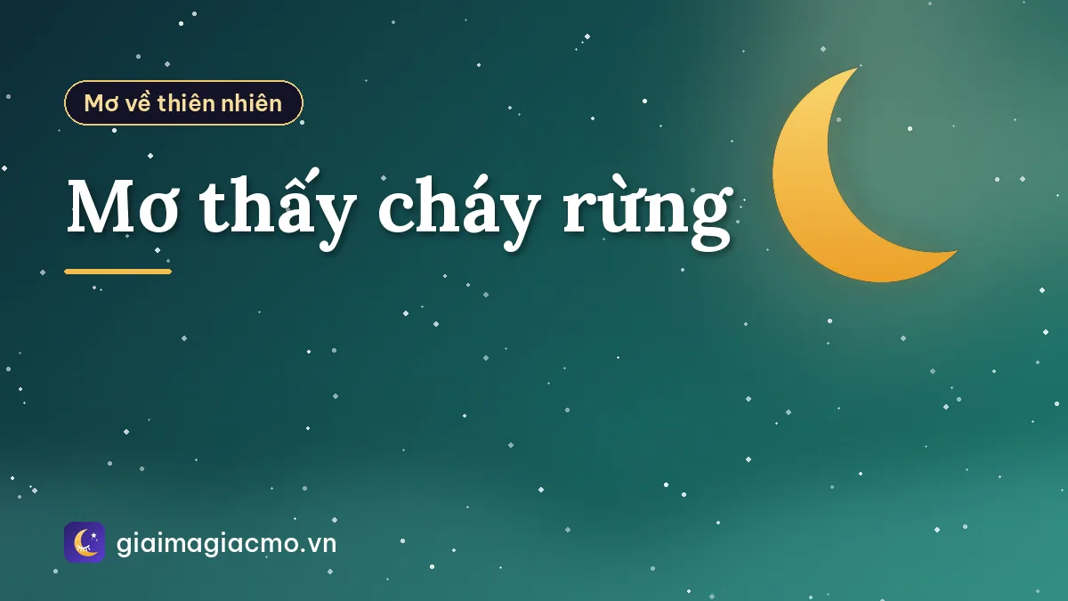 Mơ thấy cháy rừng