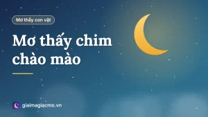 Minh hoạ chim chào mào đậu trên cành trong giấc mơ