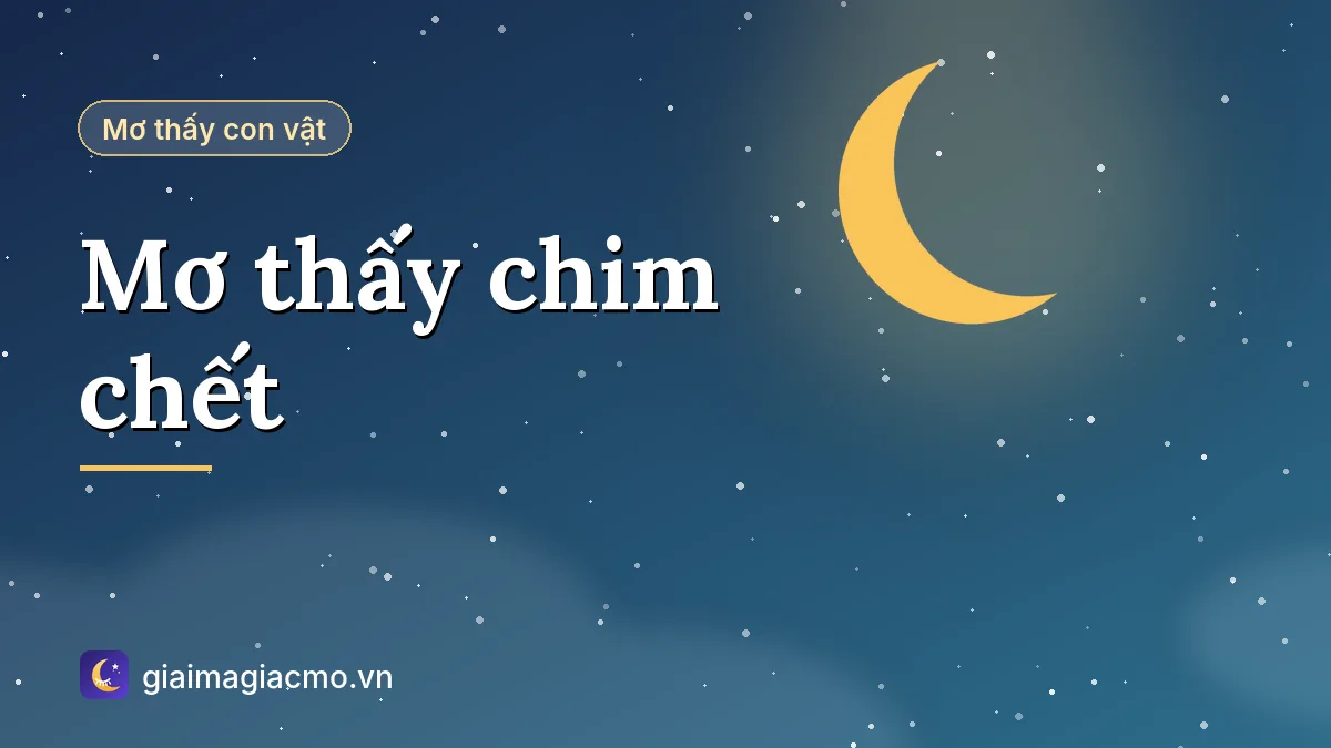 Minh hoạ giải mã giấc mơ thấy chim chết