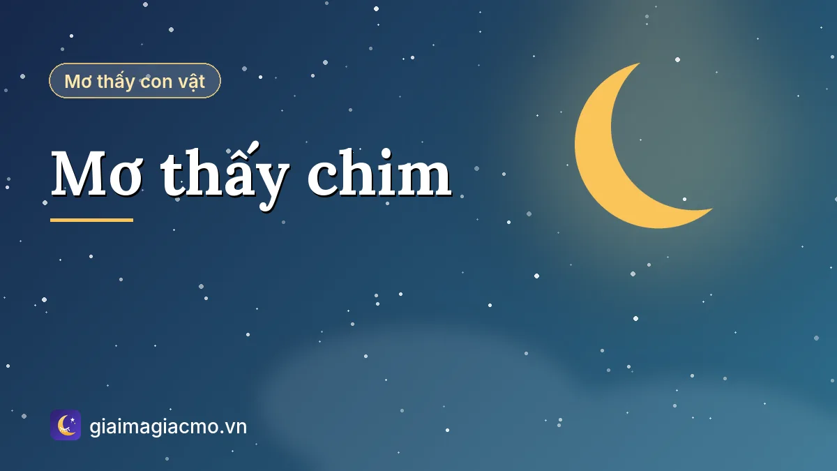 Minh hoạ giải mã giấc mơ thấy chim theo màu sắc và hành động