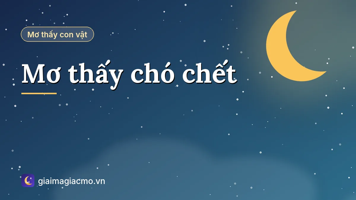 Minh hoạ giải mã giấc mơ thấy chó chết theo từng tình huống