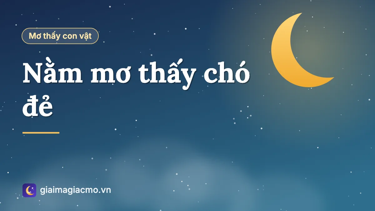 Minh hoạ giải mã giấc mơ thấy chó mẹ đẻ đàn chó con