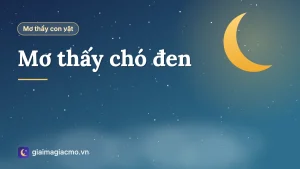 Minh hoạ giải mã giấc mơ thấy chó đen, chó mực