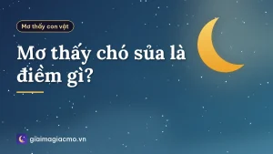 Mơ thấy chó sủa là điềm gì?