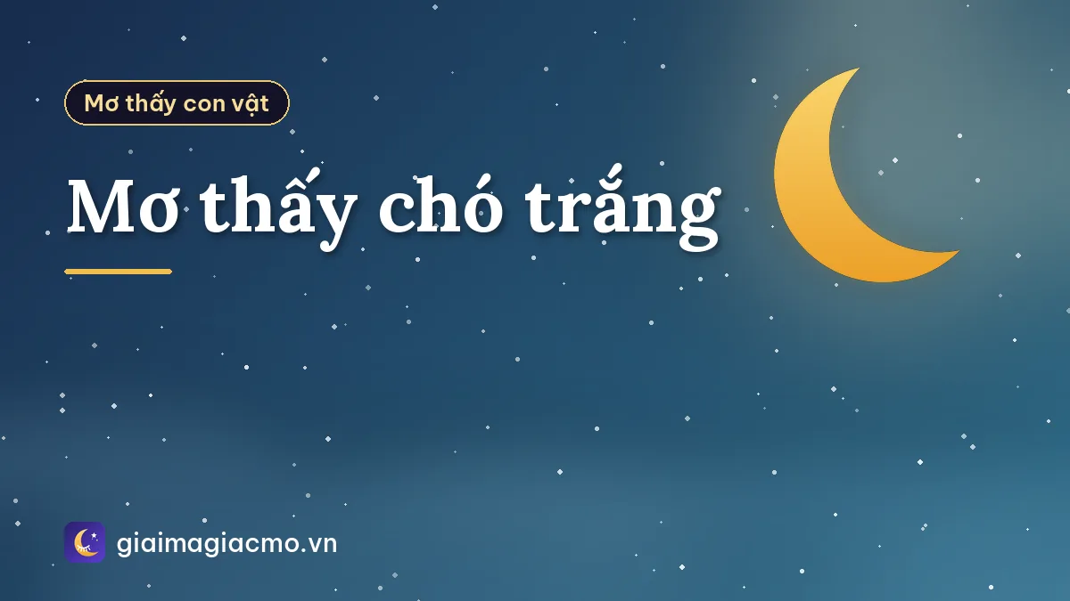 Mơ thấy chó trắng