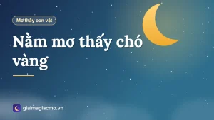 Minh hoạ chú chó vàng vẫy đuôi trước cổng nhà trong giấc mơ
