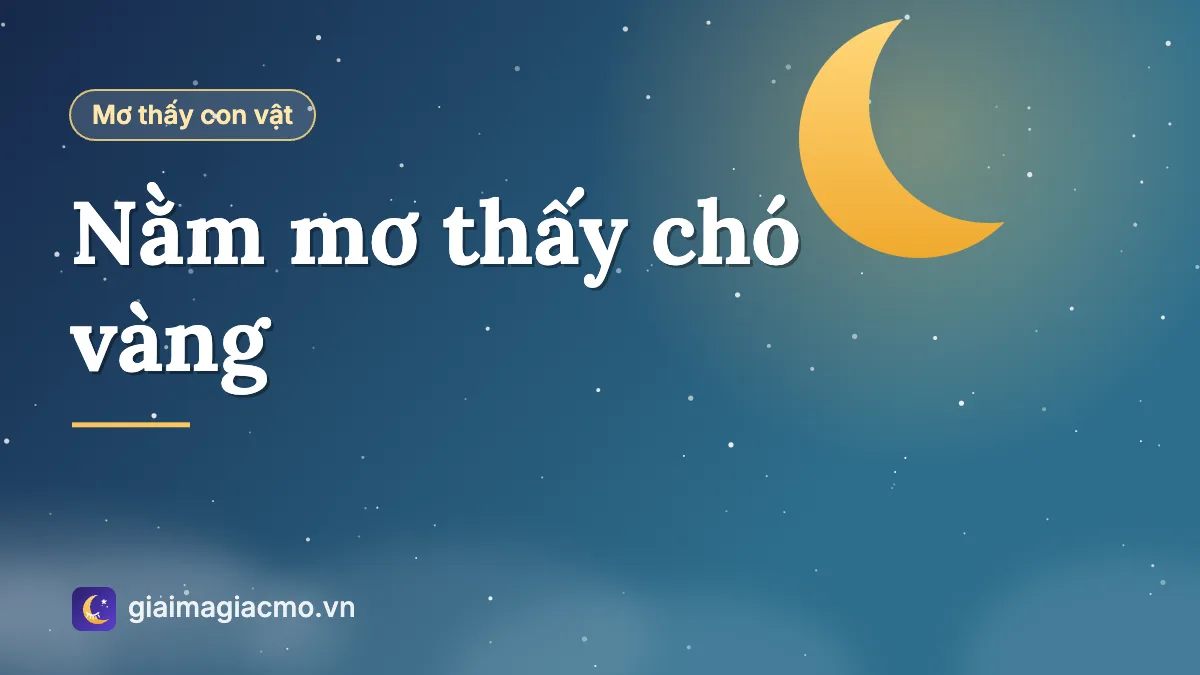 Minh hoạ chú chó vàng vẫy đuôi trước cổng nhà trong giấc mơ