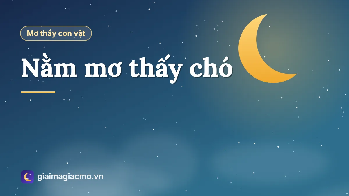 Minh hoạ giải mã giấc mơ thấy chó vẫy đuôi bên người
