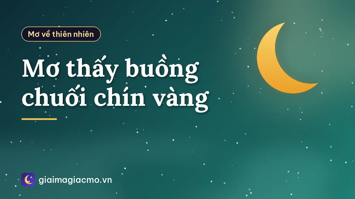 Mơ thấy buồng chuối chín vàng