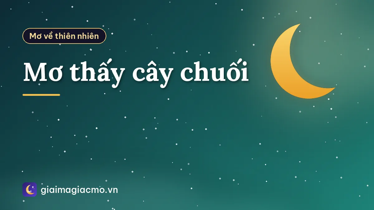 Mơ thấy cây chuối