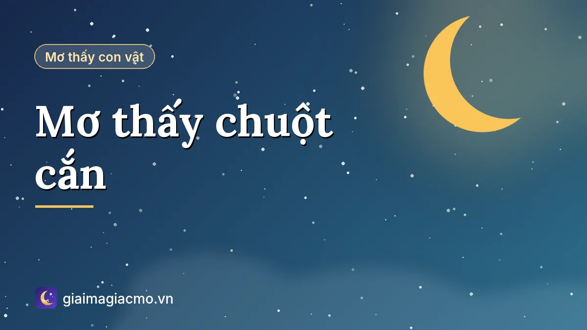Minh hoạ giải mã giấc mơ thấy chuột cắn chân, tay, quần áo
