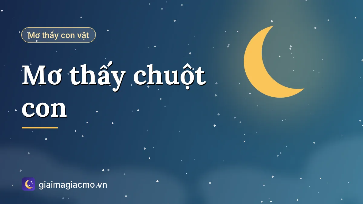 Minh hoạ giải mã giấc mơ thấy chuột con mới đẻ
