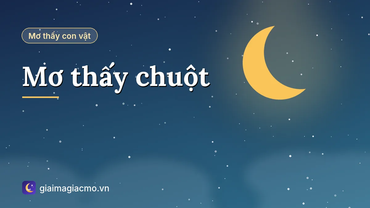 Minh hoạ giải mã giấc mơ thấy chuột bò lên người, chuột cắn và mèo bắt chuột