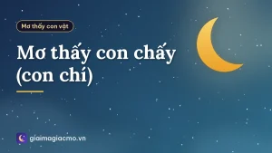 Mơ thấy con chấy (con chí)