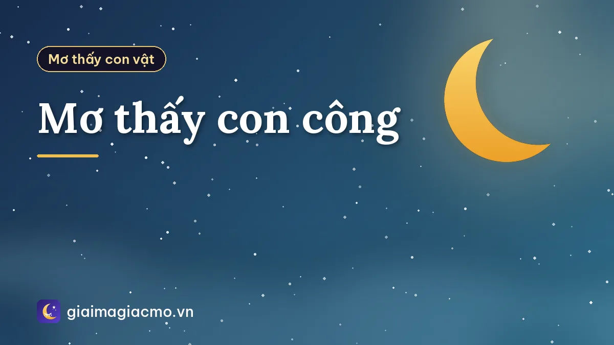 Mơ thấy con công