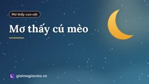 Mơ thấy cú mèo