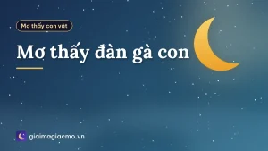 Mơ thấy đàn gà con