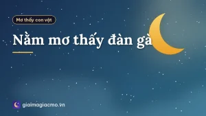 Nằm mơ thấy đàn gà