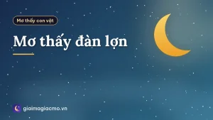 Mơ thấy đàn lợn