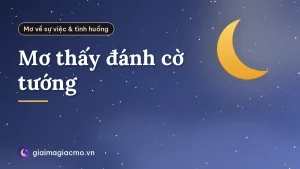 Mơ thấy đánh cờ tướng