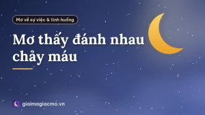Mơ thấy đánh nhau chảy máu