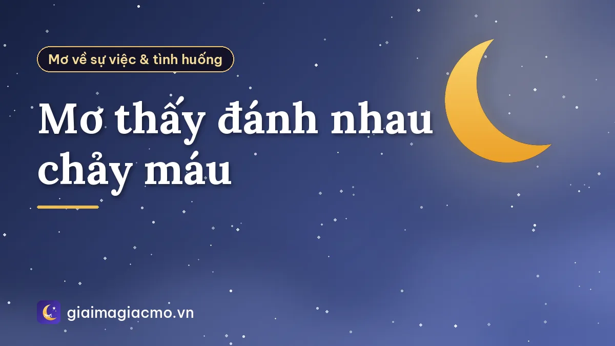 Mơ thấy đánh nhau chảy máu