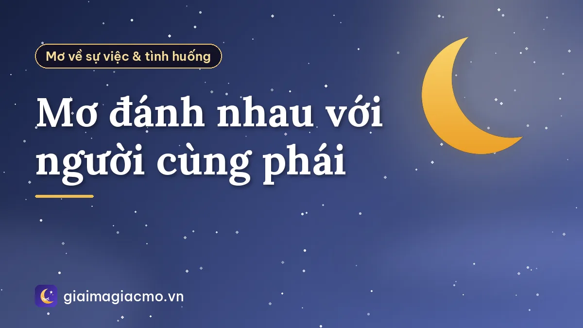 Mơ đánh nhau với người cùng phái
