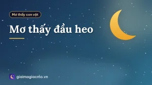 Mơ thấy đầu heo