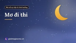 Mơ đi thi
