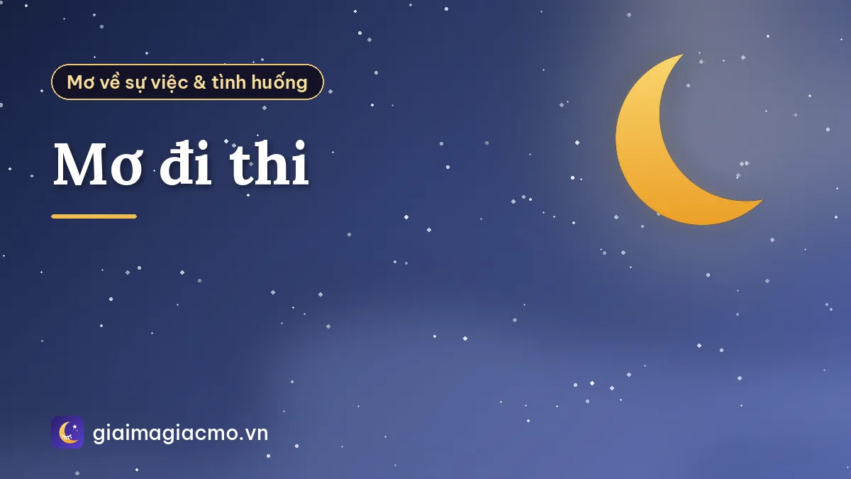 Mơ đi thi