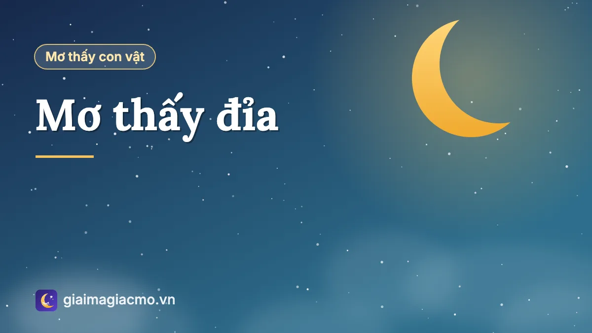 Minh hoạ giải mã giấc mơ thấy đỉa dưới nước