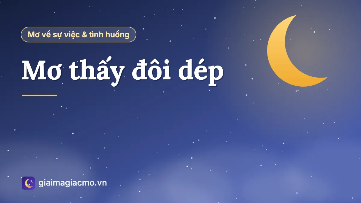 Minh hoạ giải mã giấc mơ thấy đôi dép