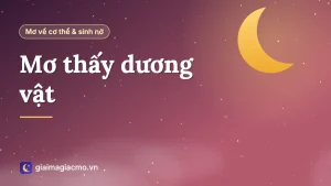 Minh hoạ biểu tượng giải mã giấc mơ về cơ thể người