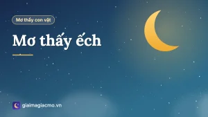 Minh hoạ giải mã giấc mơ thấy ếch