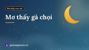 Mơ thấy gà chọi