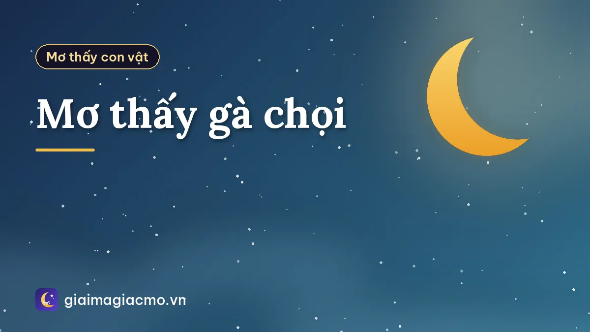 Mơ thấy gà chọi