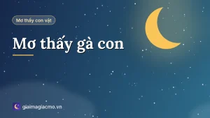 Minh hoạ giải mã giấc mơ thấy đàn gà con mới nở bên gà mẹ