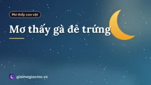 Mơ thấy gà đẻ trứng