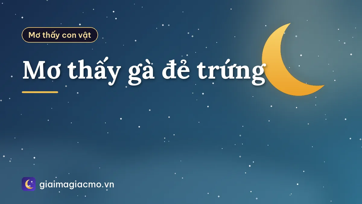 Mơ thấy gà đẻ trứng