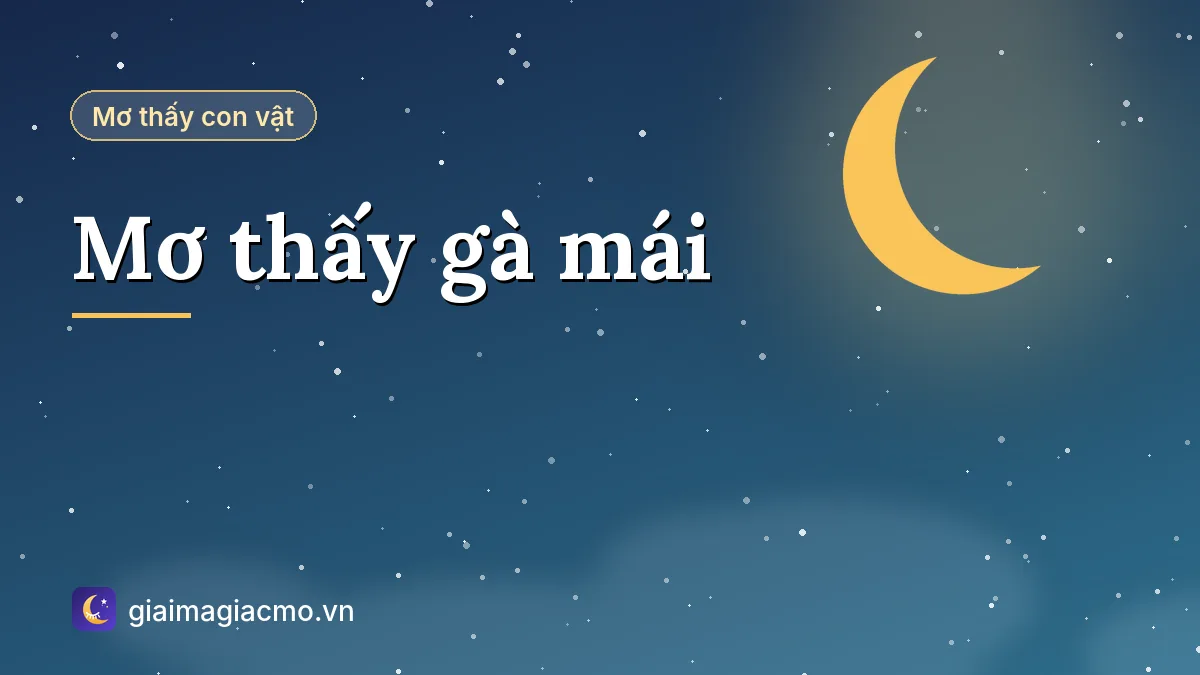 Minh hoạ giải mã giấc mơ thấy gà mái đẻ trứng, ấp trứng và dẫn đàn con