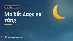 Mơ bắt được gà rừng