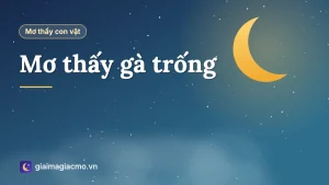 Minh hoạ giải mã giấc mơ thấy con gà trống mào đỏ đang gáy