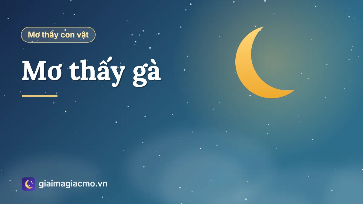 Minh hoạ giải mã giấc mơ thấy gà