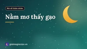 Nằm mơ thấy gạo