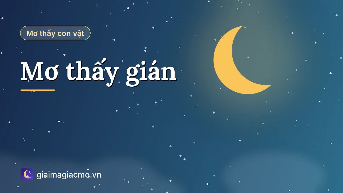 Minh hoạ giải mã giấc mơ thấy gián trong nhà
