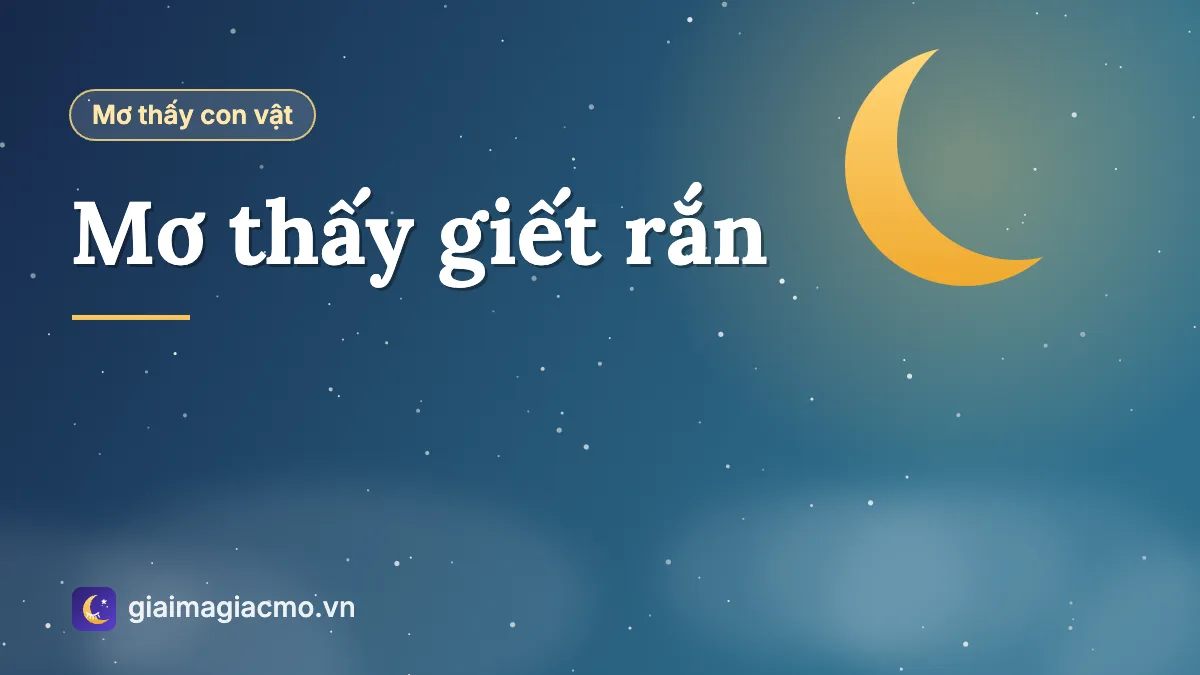 Minh hoạ giải mã giấc mơ thấy giết rắn, đánh chết rắn